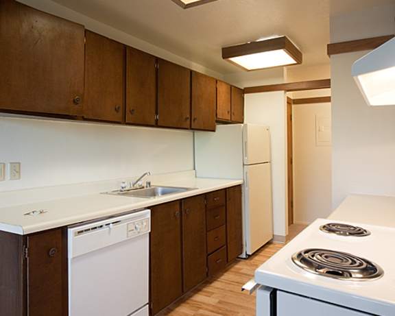 Photo Gallery Image