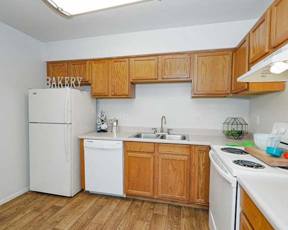 Photo Gallery Image