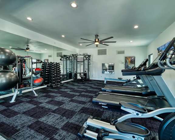 Photo Gallery Image