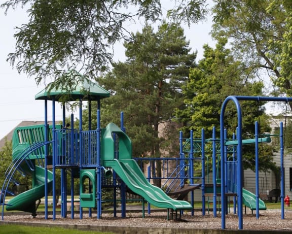 Photo Gallery Image
