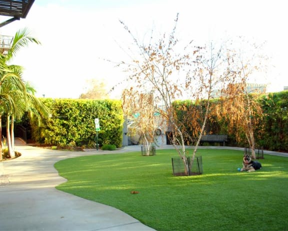 Photo Gallery Image