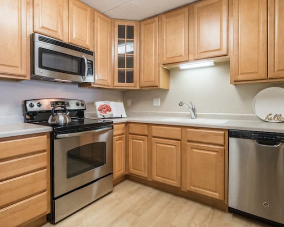 Photo Gallery Image