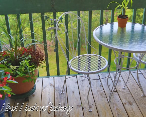 Photo Gallery Image