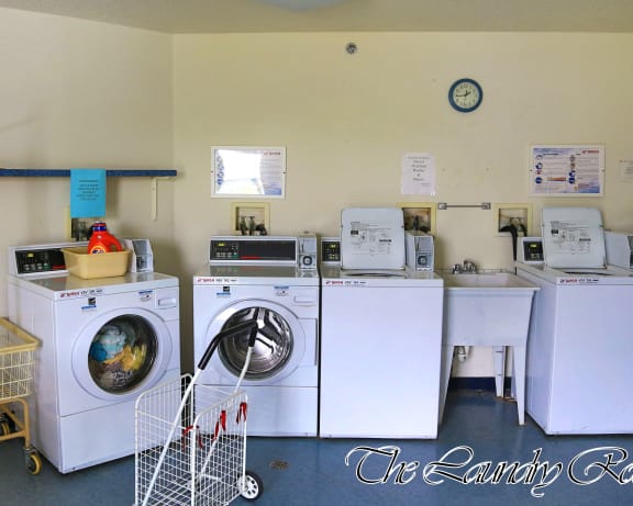 Photo Gallery Image