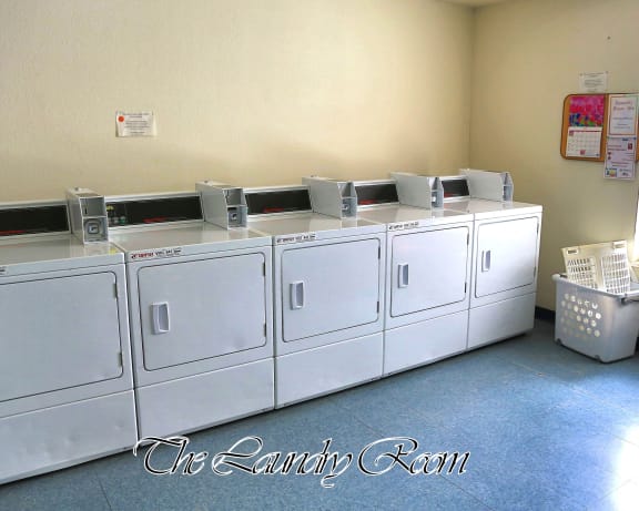 Photo Gallery Image
