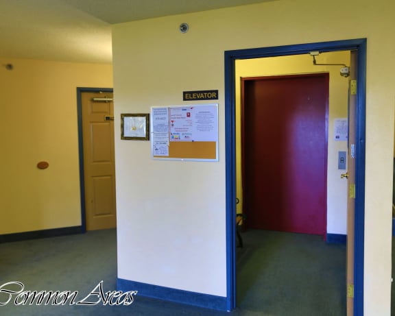 Photo Gallery Image