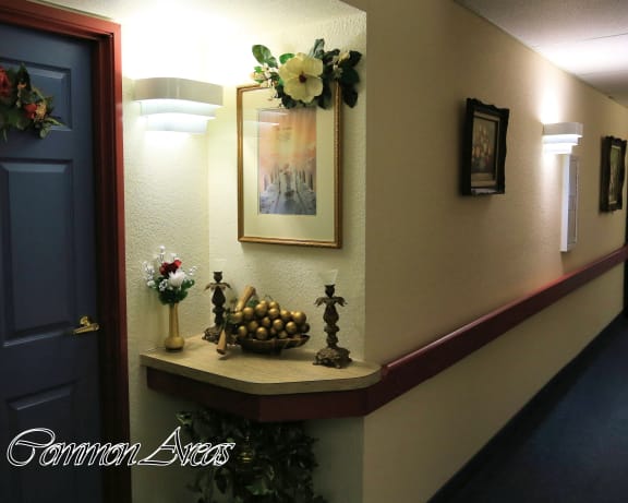 Photo Gallery Image
