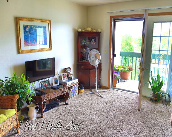 Photo Gallery Image