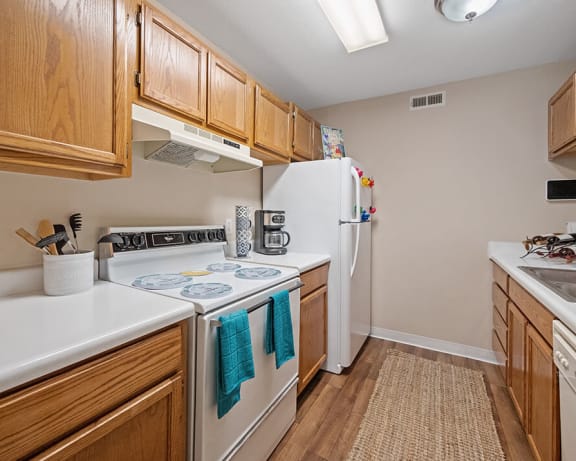 Photo Gallery Image