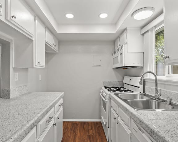 Photo Gallery Image