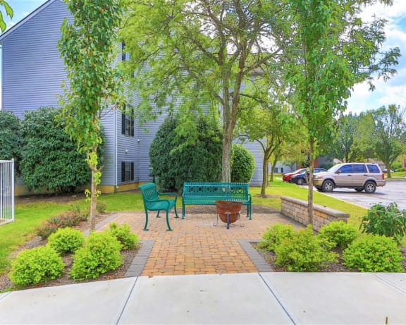 Photo Gallery Image