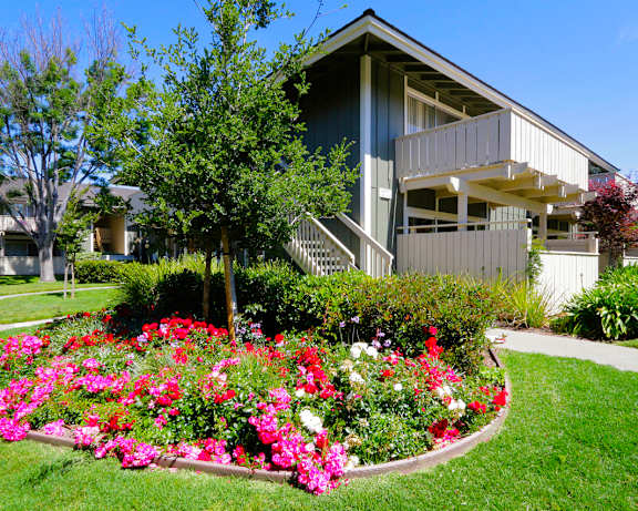 Photo Gallery Image