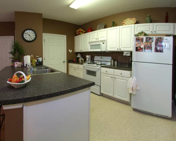 Photo Gallery Image