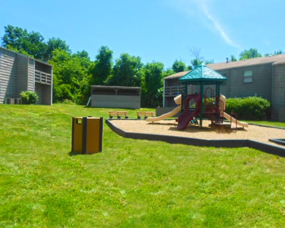 Photo Gallery Image