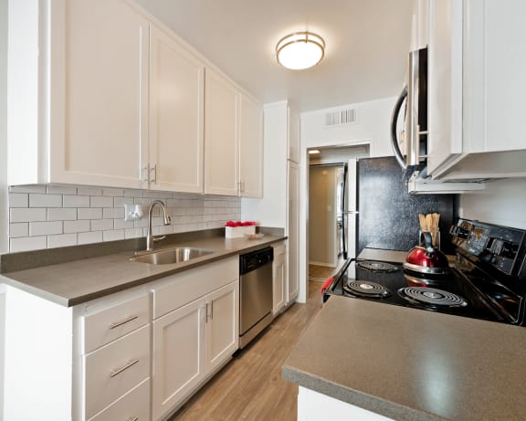 Photo Gallery Image