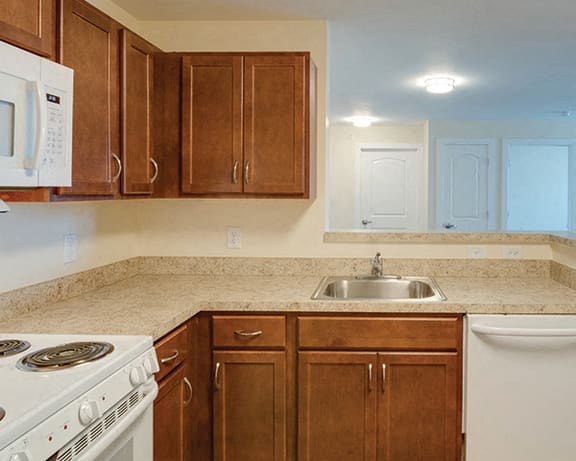 Photo Gallery Image