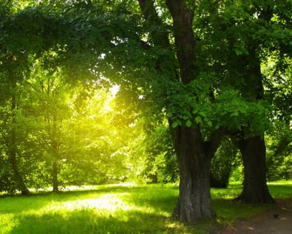 Photo Gallery Image