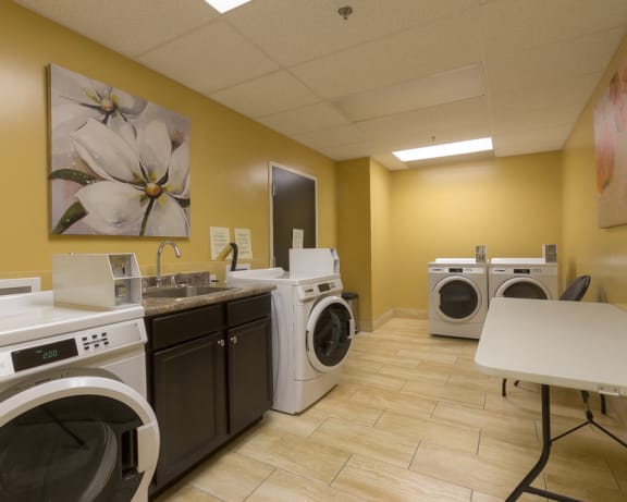 Photo Gallery Image