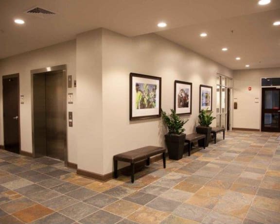 Photo Gallery Image