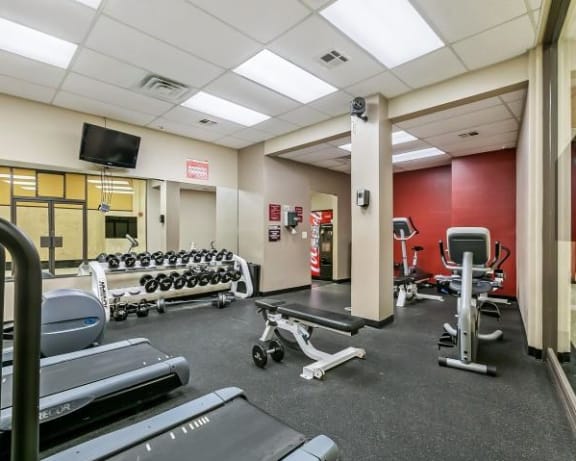 Photo Gallery Image