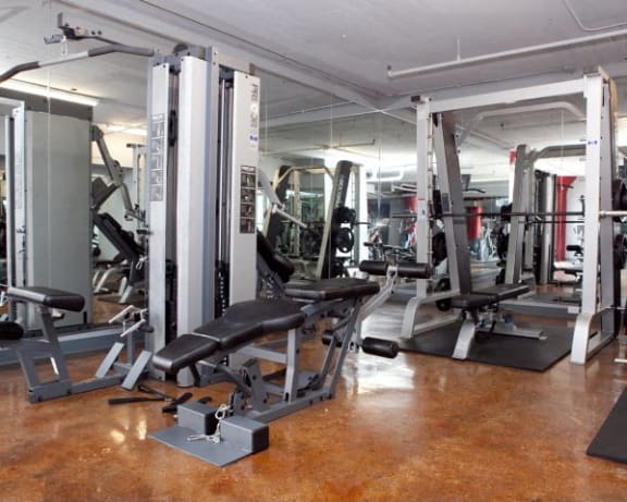 Photo Gallery Image