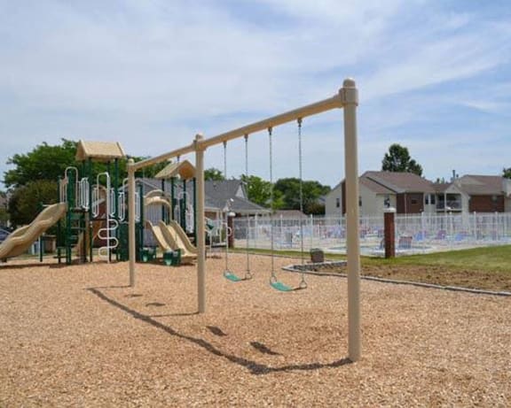 Photo Gallery Image