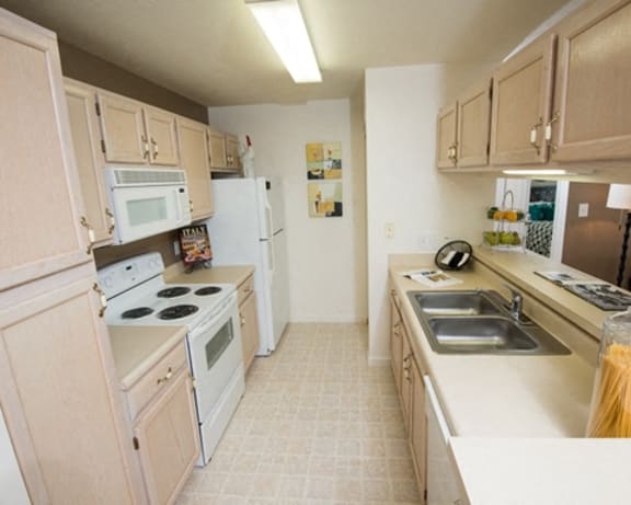 Photo Gallery Image