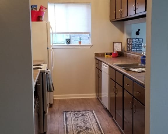 Photo Gallery Image