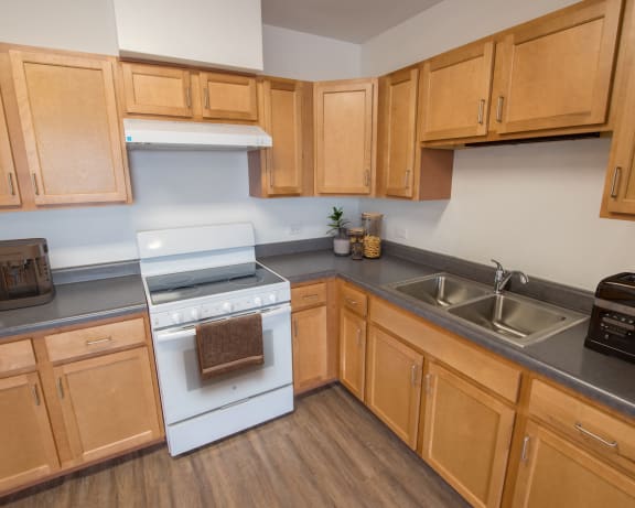 Photo Gallery Image
