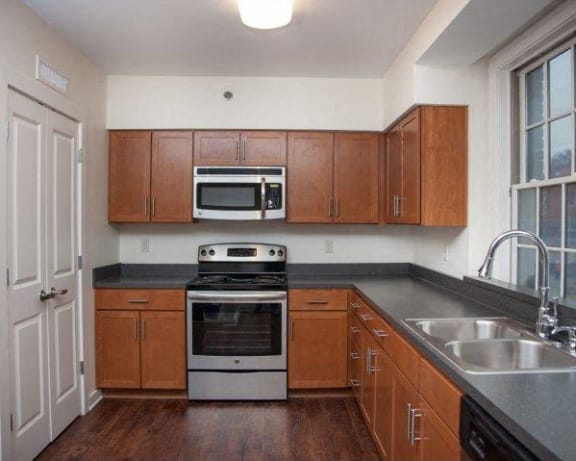 Photo Gallery Image