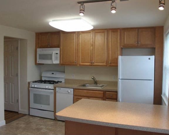 Photo Gallery Image