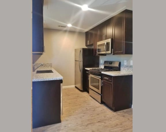 Photo Gallery Image