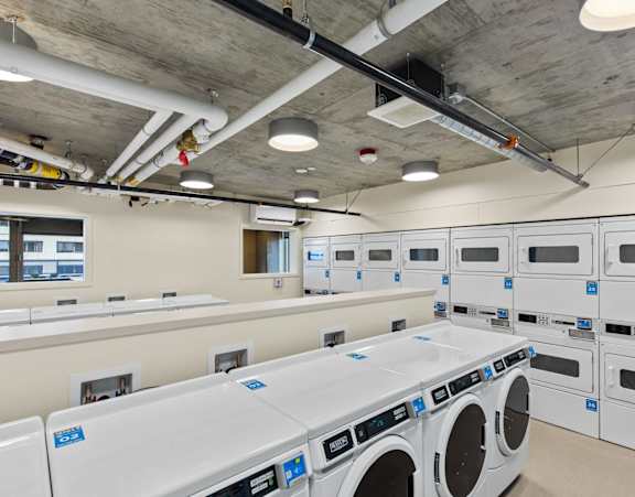 A row of washing machines are lined up in a laundromat.