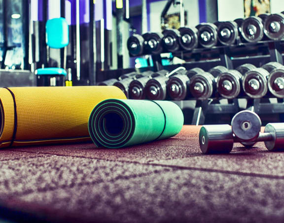 a row of dumbbells and weights in a gym