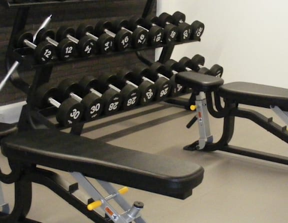 A set of dumbbells are arranged on a bench in a gym.