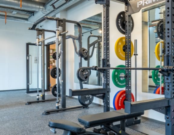 A gym with a weight bench and a squat rack.