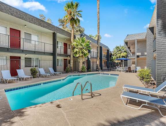 A pool area with sun loungers and a palm tree.