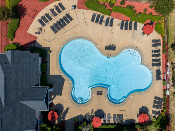 an aerial view of a swimming pool with umbrellas at Alexander Ridge Apartments in Canton, GA