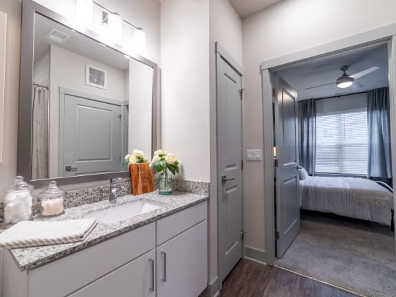 the enclave at homecoming terra vista bathroom