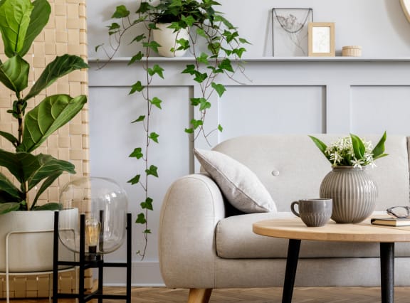 a living room with a couch and a coffee table