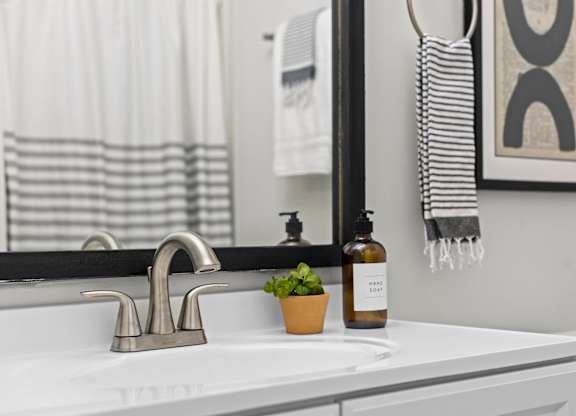 A bathroom sink with a plant and a bottle of soap at West Oak Apartments, Wake Forest, 27587