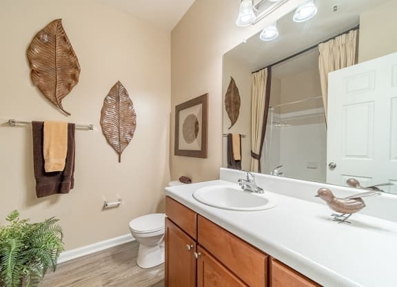 Luxurious Bathroom at Rose Heights Apartments, North Carolina, 27613