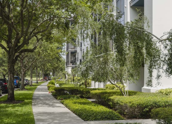 Courtyard Walking Path at Azul Baldwin Park, Florida, 32814