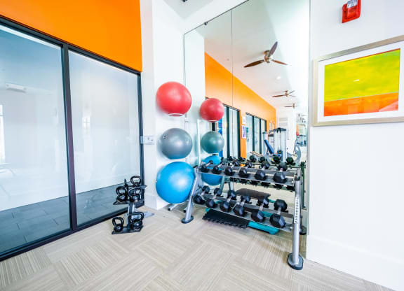Fitness Area at Azul Baldwin Park, Orlando