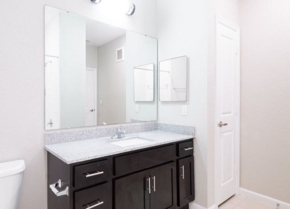 a bathroom with a sink and a mirror at Linden on the GreeneWay, Florida, 32824