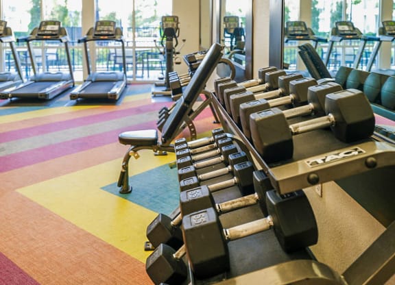 a row of weights in a gym with a large window at Linden on the GreeneWay, Florida