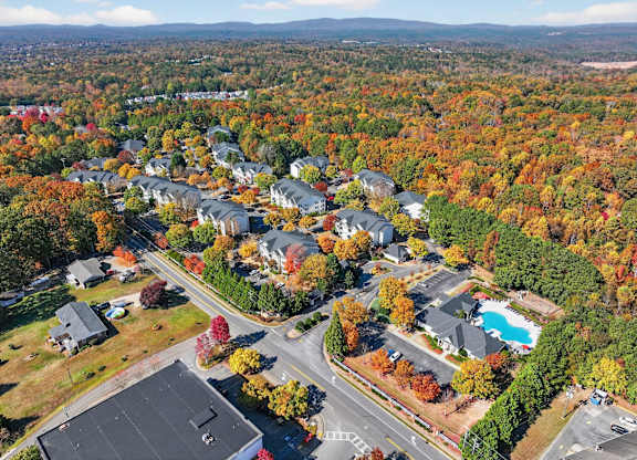 Property From Above at Alexander Ridge Apartments, Canton, Georgia