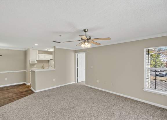 Empty Interior at Alexander Ridge Apartments, Canton, GA, 30114