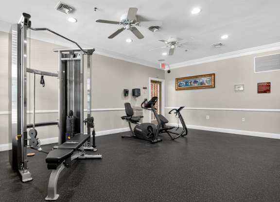 A spacious home gym with a variety of equipment including a squat rack, bench, and treadmill.