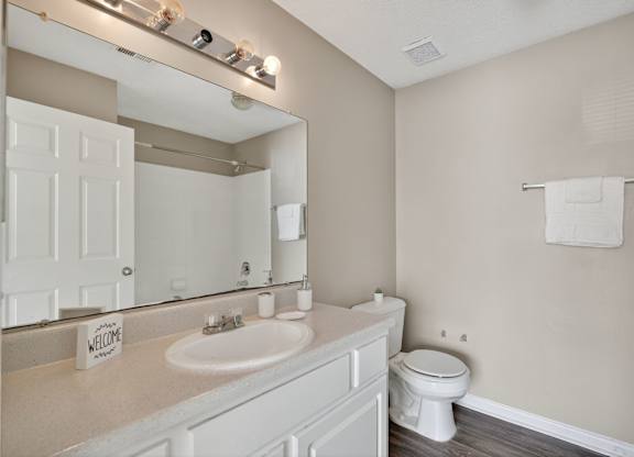 Primary Bathroom at Alexander Ridge Apartments, Canton, Georgia